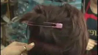 Hair Extension Demonstration