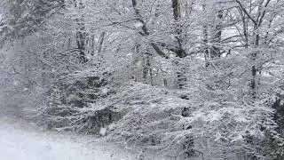 Sonido de la nieve