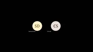 Visualizing Vitality Essentials of Abdominal and Vascular Ultrasound with POCUS