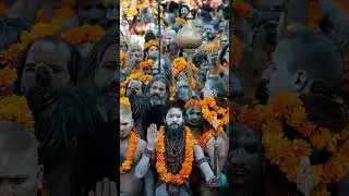 Mahakumbh 2025 : The spiritual Event of a Lifetime 🙏           #mahakumbh2025 #kumbhmela