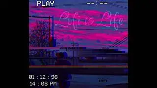 Exquisite Taste ( Visualizer )