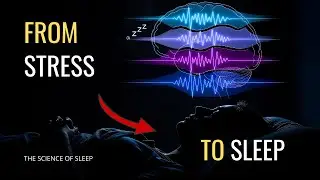 Fall Asleep Learning About Brain Waves: From Beta Anxiety to Delta Sleep