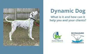 Webinar: Dynamic Dog - Is Pain The Missing Piece In Your Work With Dogs