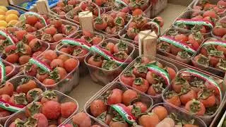 Сицилия. Сиракуза. Рагуза. Ното. И морское побережье.