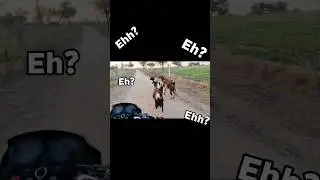 goat 😲😂 #shorts #speed #goat