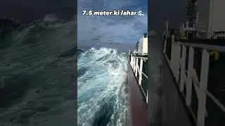 #ship #shipping #sea #viral #trending #trendingshorts #shorts #history #story #actor #actress #crick