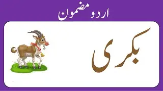 The Goat Essay In Urdu || بکری پر اردو مضمون
