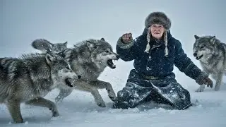 -80&deg;C Frozen Forest &mdash; Widow Escapes a Wolf Pack While Protecting Her Last Reindeer in Yakutia