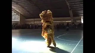 Festival de Artes Marciais Recife Mestre lap wah ng