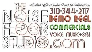 Commercials, Voice Over Reel, Ed Dulian, The Noise Floor Studio, Inc., Rockford, IL