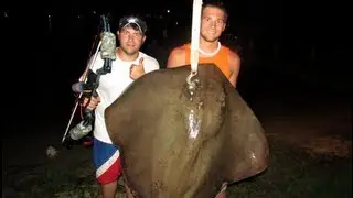 Giant Stingray Bow Fishing with Fish-Kabob Bowfishing in Orange Beach, Alabama