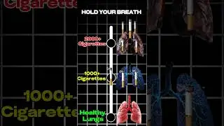 #breathing #lungs #holdyourbreath #cigrette