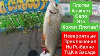 Плотва Украинская на Сало🔥ТЦК Облизываются на Сало🔥Крутая Рыбалка🔥Ловля на Днепре🔥Ход Плотвы🔥 Днепр