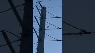 Military Jet Flyby Caught on Camera Footages | Epic Fighter Aircraft Flyby in Perfect Morning Light