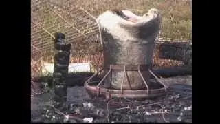 Baby pigs perish in Putnam County farm fire