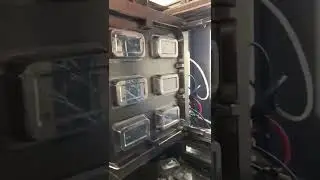 6 Cavity food container mold