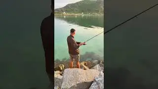 Norwegian fishing🥰 #fishing #norwegianfishing #salmon #fishingsalmon