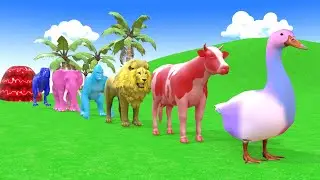 Long Slide Game With Cow Elephant Gorilla Hippopotamus Tiger 3d Animal Game Funny 3d Animals