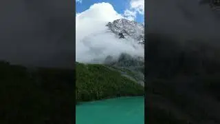 Жизнь в лесу!