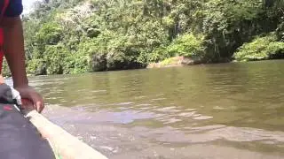 Rio chucunaque , Darien