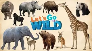 Animals of the World for Kids &ndash; Learning How to Spell the Names of the Animal Kingdom