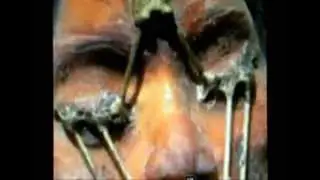 Aliens Come From Hell