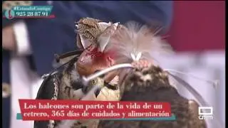 Los secretos de la cetrería