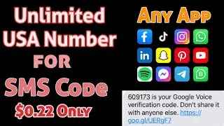 $0.22 USA Phone Number for App Registration, WhatsApp & Social Media Verification | HollySMS 2025