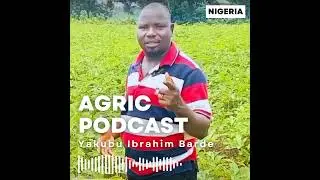02 Plantix App for extension agents and farmers