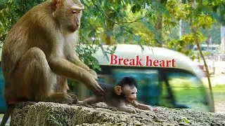 BREAK MY HEART!!! JAYDEN CRY FOR MOTHER HELP | Unbelievable! Bonita Torturing poor baby Jayden