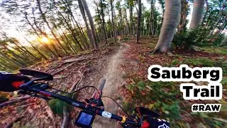 Sauberg Trail (#RAW) - Wienerwald Trails