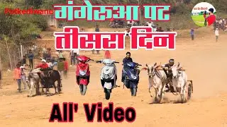 गंगेरूआ पट - तीसरा दिन की All' Video #bull #viral #ox #race #cow 