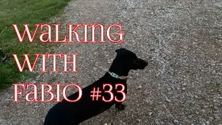 Walking with Fabio    Sundown #33