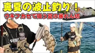 【真夏の波止でアイゴ釣り・ウキフカセで狙う夏の暴れん坊】ダンゴ釣り/Rabbit Fish Fishing
