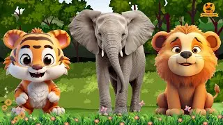 Collection of cute animal sounds: Tiger, Lion, Pig, Bison, Pelican - Cute Animal Moments