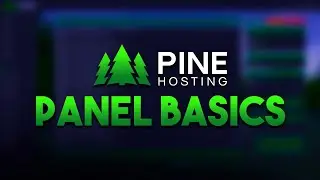 Panel Overview | Pine Hosting Panel
