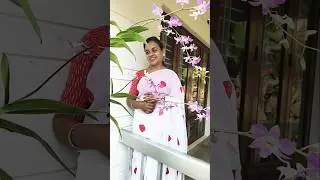 തീരം തേടും 👌👌👌&hearts;️&hearts;️#trending #malayalam #song #orchid #saree