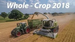 Whole - Crop 2018- Keaton Greenwood