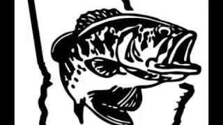 King cat fish youtube