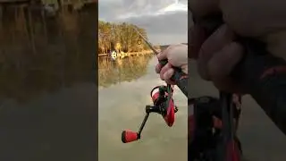 Casting WORLDS FASTEST SPINNING REEL #shorts - KastKing SPEED DEMON PRO
