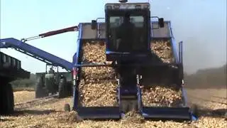 cipolla onion harvester