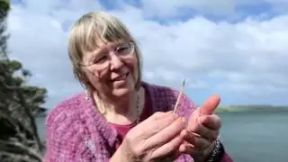 World Echidna Expert Peggy Rismiller - Art Meets Science | Exceptional Kangaroo Island