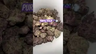 $40 half oz Purple Reign Smalls| THCA King #cannabiscommunity420 #420community #stayhigh