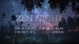 Zen Night - Nature Sounds with Ambient Drone for Deep Calm (1 Hour)