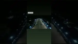 #bullockrace
