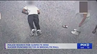 Brooklyn assault: Man sucker-punched in Kings Plaza mall attack
