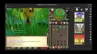 OSRS CLUE 05 DEGREES 37 MINUTES NORTH 31 DEGREES 15 MINUTES EAST