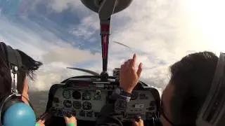 Red Baron Hands-On Aerobatics