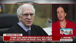 Lawyers just want 'someone else' to 'blame' for Trump's consequences: legal analyst