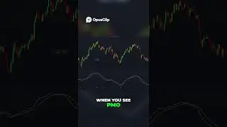 PMO Trading Strategy  Simple Buy & Sell Signals